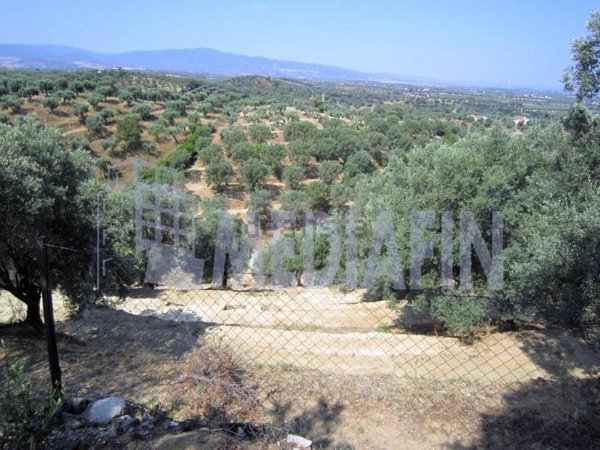terreno agricolo in vendita a Corigliano-Rossano in zona Rossano