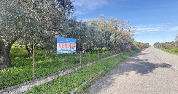 terreno agricolo in vendita a Corigliano-Rossano in zona Rossano