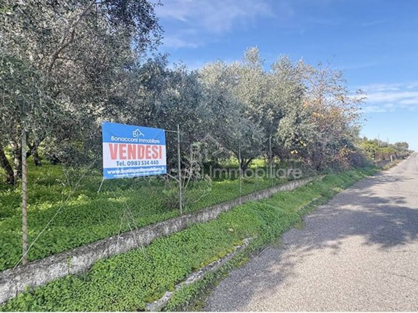 terreno agricolo in vendita a Corigliano-Rossano in zona Rossano