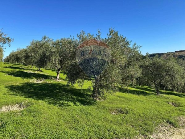terreno agricolo in vendita a Corigliano-Rossano in zona Corigliano Calabro