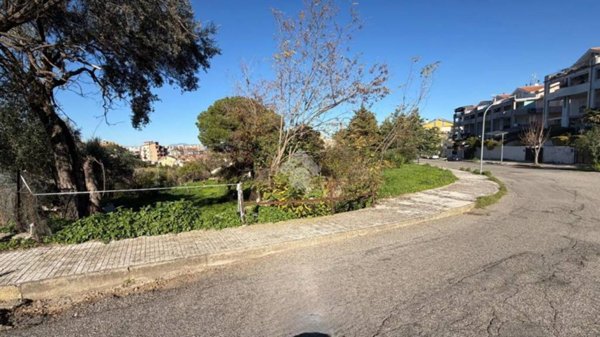 immagine annuncio 0 di 6