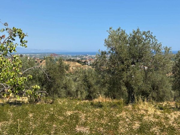 terreno agricolo in vendita a Corigliano-Rossano in zona Corigliano Calabro