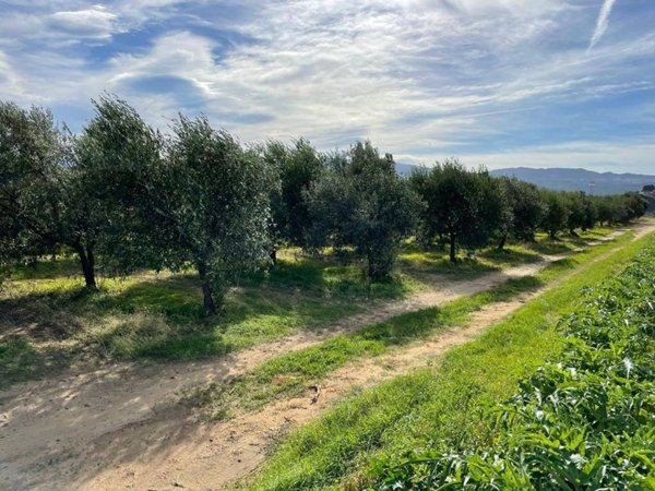 terreno agricolo in vendita a Corigliano-Rossano