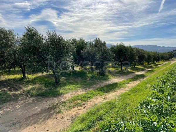 terreno agricolo in vendita a Corigliano-Rossano in zona Corigliano Calabro