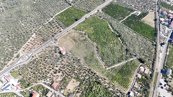 terreno agricolo in vendita a Corigliano-Rossano in zona Rossano