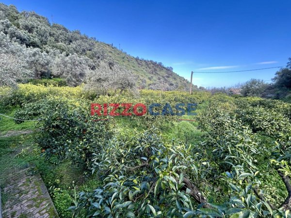 terreno agricolo in vendita a Corigliano-Rossano in zona Rossano