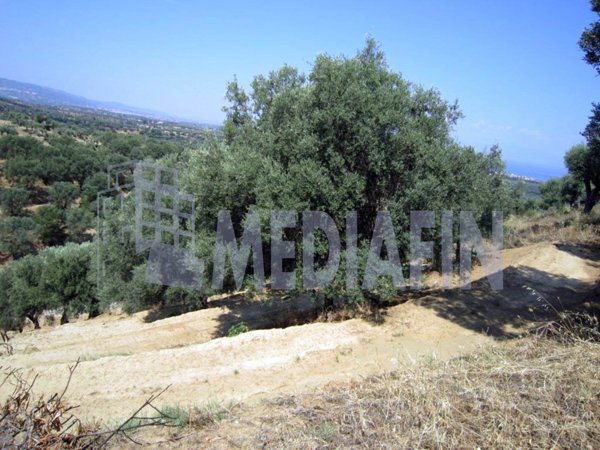 terreno agricolo in vendita a Corigliano-Rossano in zona Rossano