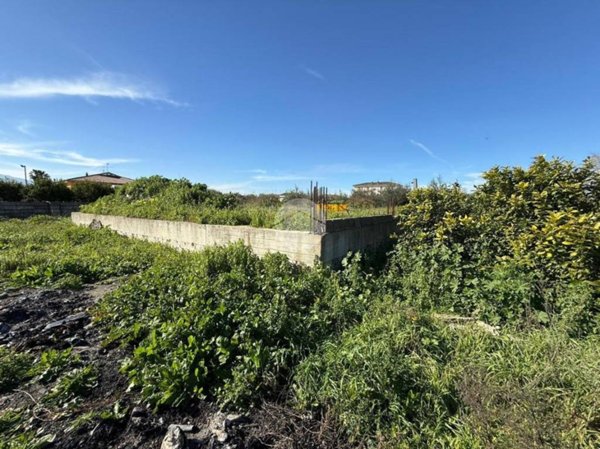terreno agricolo in vendita a Corigliano-Rossano in zona Fabrizio Piccolo