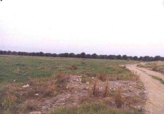terreno agricolo in vendita a Corigliano-Rossano in zona Rossano