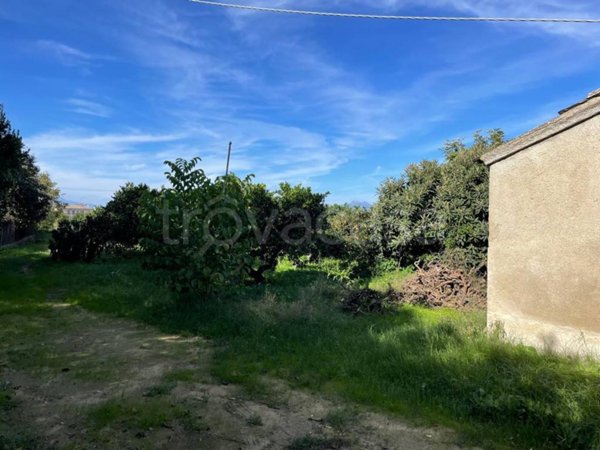 terreno agricolo in vendita a Corigliano-Rossano