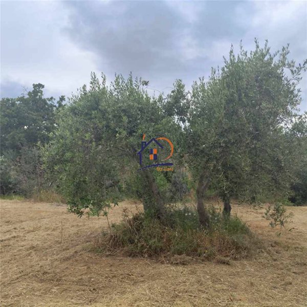 casa indipendente in vendita a Corigliano-Rossano
