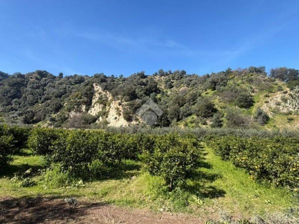 terreno agricolo in vendita a Corigliano-Rossano in zona Rossano