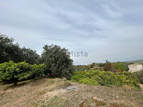terreno agricolo in vendita a Corigliano-Rossano