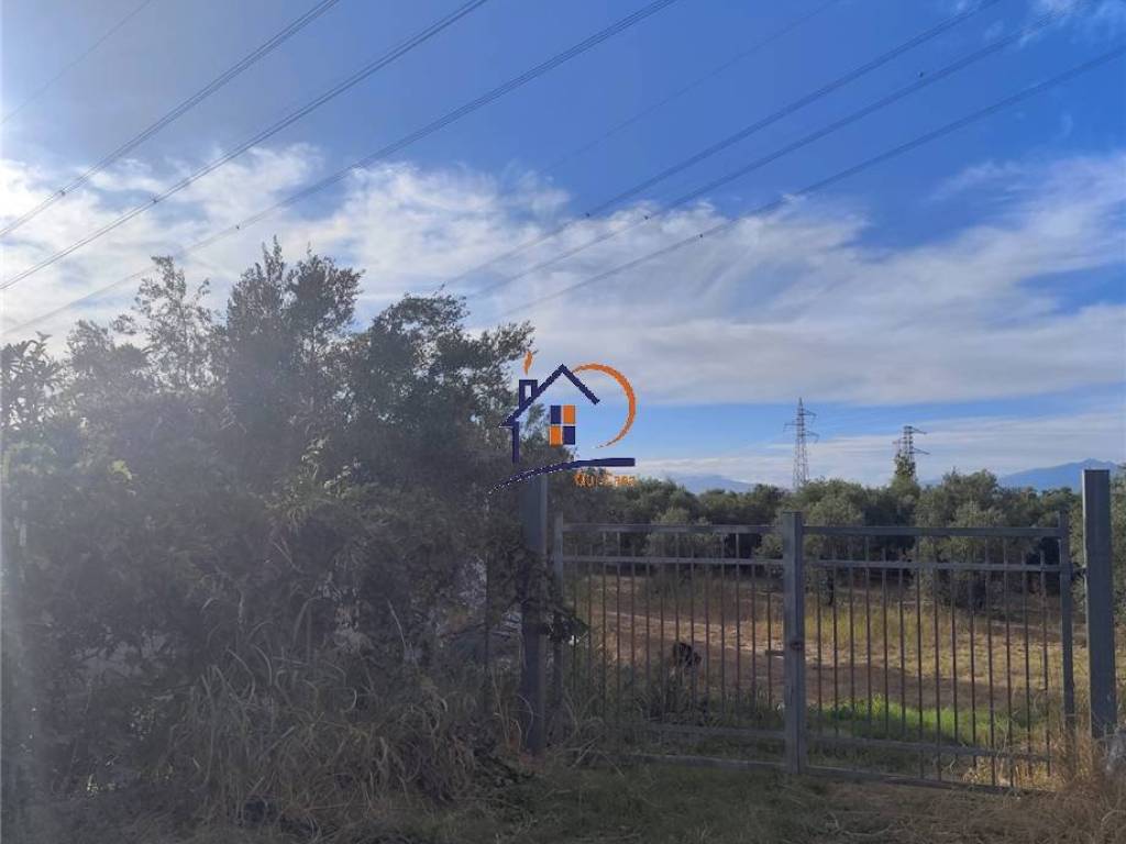 terreno agricolo in vendita a Corigliano-Rossano in zona Rossano