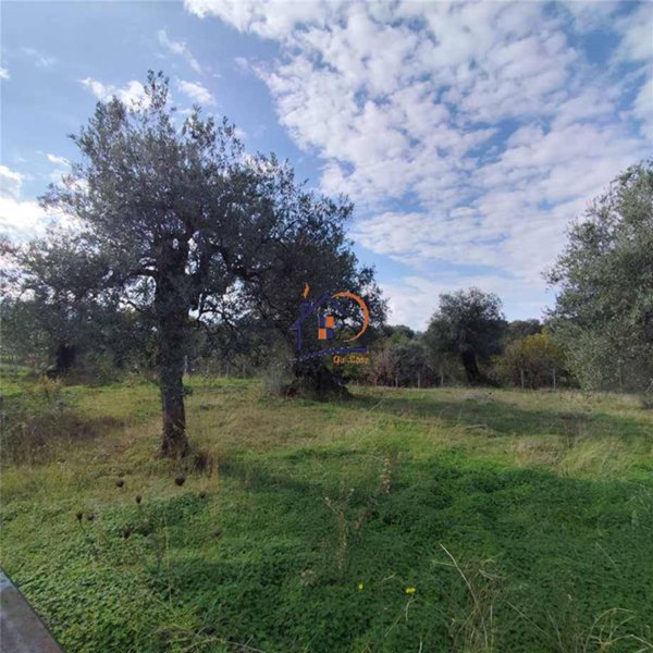 terreno edificabile in vendita a Corigliano-Rossano