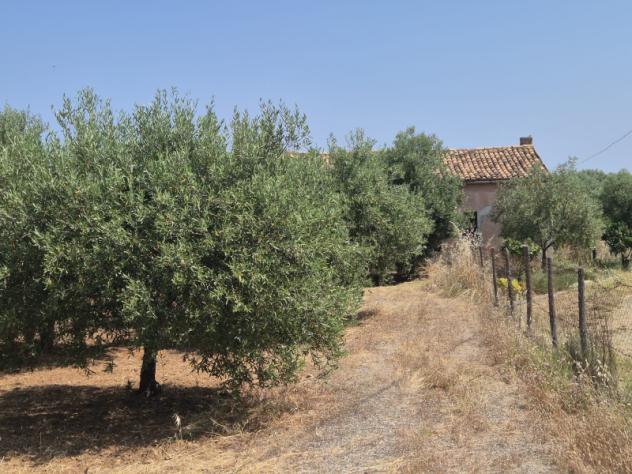 casale in vendita a Corigliano-Rossano in zona Rossano