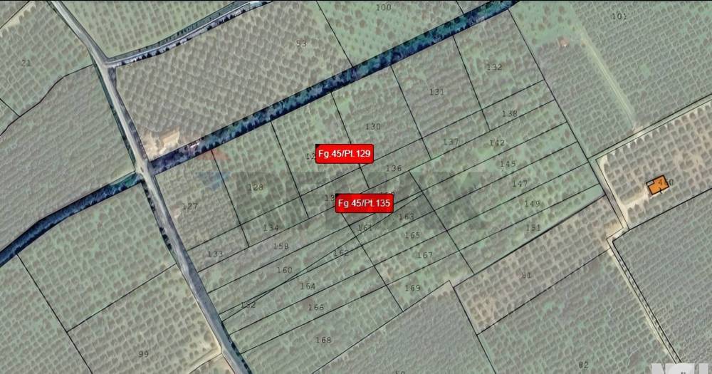 terreno agricolo in vendita a Corigliano-Rossano in zona Torricella