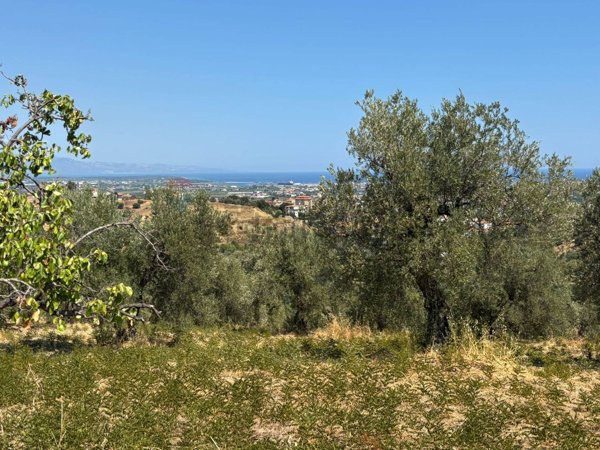 terreno agricolo in vendita a Corigliano-Rossano