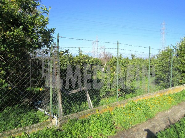 terreno agricolo in vendita a Corigliano-Rossano in zona Rossano
