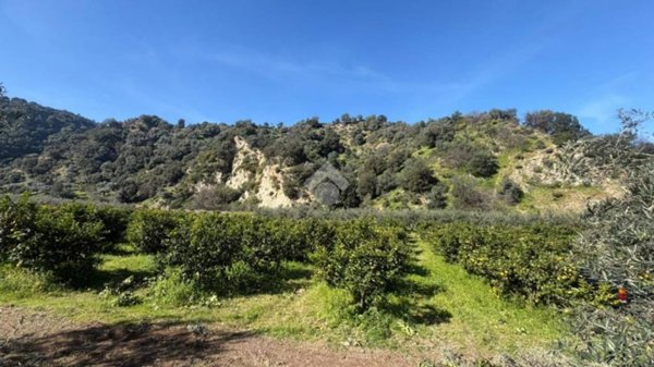 terreno agricolo in vendita a Corigliano-Rossano in zona Rossano