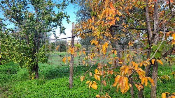 terreno agricolo in vendita a Corigliano-Rossano in zona Rossano