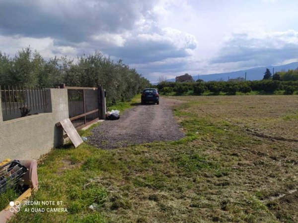 terreno agricolo in vendita a Corigliano-Rossano