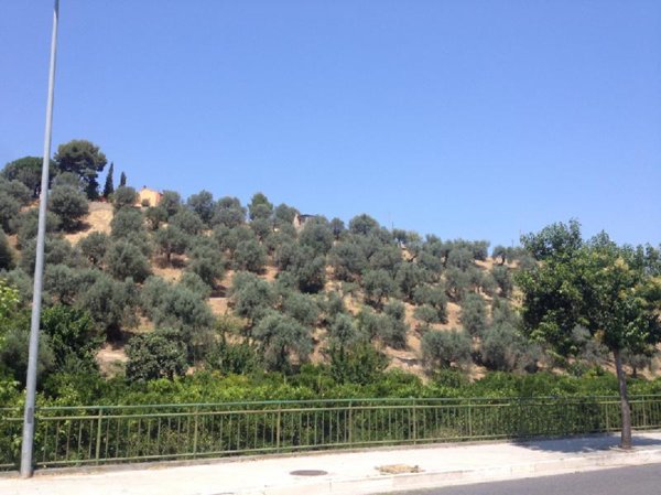 terreno edificabile in vendita a Corigliano-Rossano