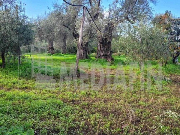 terreno agricolo in vendita a Corigliano-Rossano in zona Rossano