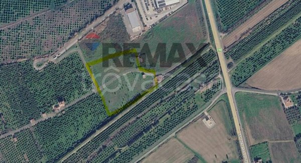 terreno agricolo in vendita a Corigliano-Rossano