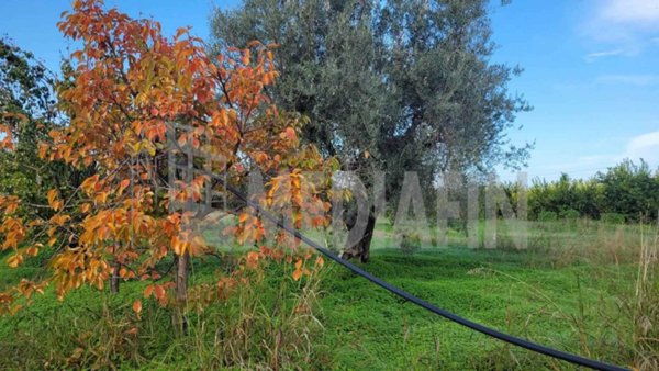 terreno agricolo in vendita a Corigliano-Rossano in zona Rossano