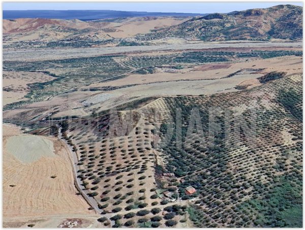 terreno agricolo in vendita a Corigliano-Rossano