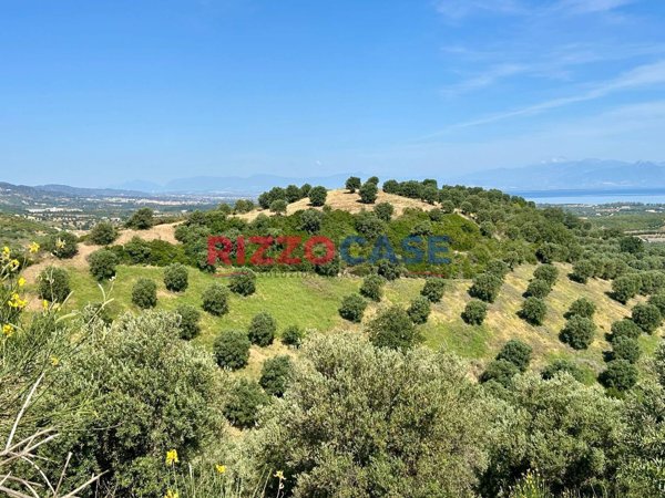 terreno agricolo in vendita a Corigliano-Rossano in zona Rossano