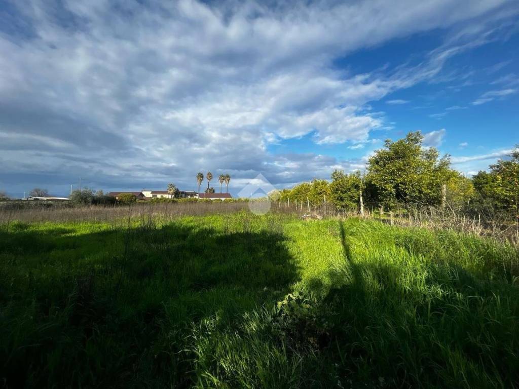 terreno agricolo in vendita a Corigliano-Rossano in zona Fabrizio Piccolo