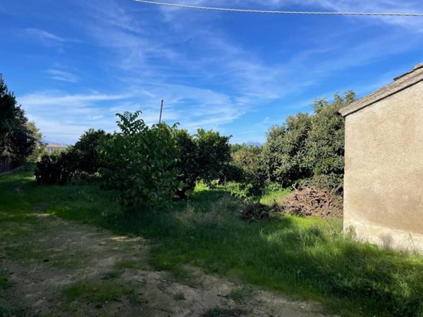 terreno agricolo in vendita a Corigliano-Rossano in zona Fabrizio Piccolo