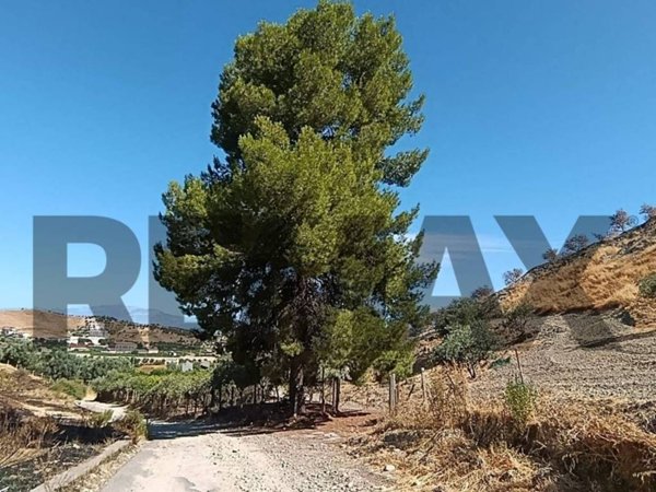 terreno agricolo in vendita a Corigliano-Rossano