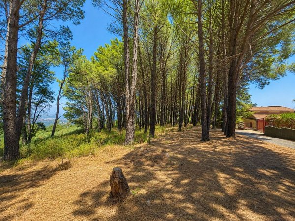 terreno agricolo in vendita a Corigliano-Rossano in zona Piragineti