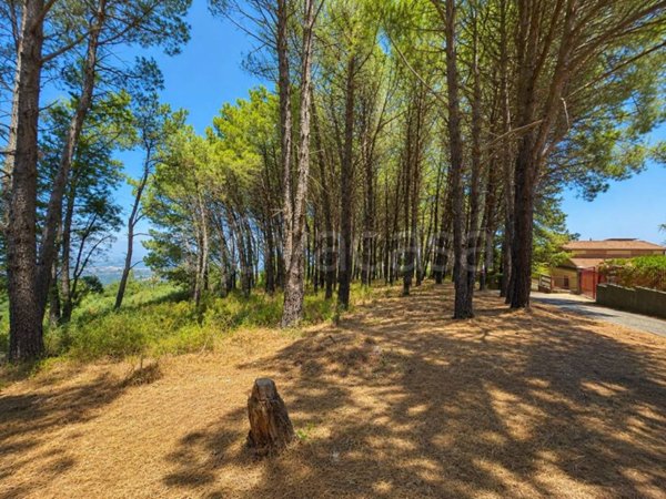 terreno agricolo in vendita a Corigliano-Rossano in zona Piragineti