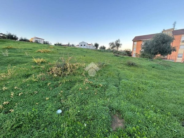 terreno agricolo in vendita a Corigliano-Rossano in zona Fabrizio Piccolo