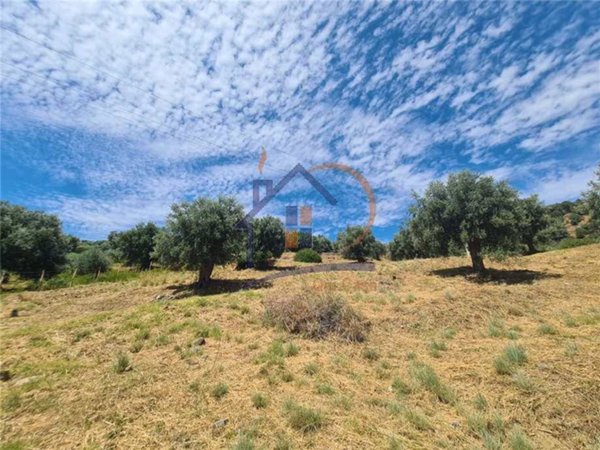 casa indipendente in vendita a Corigliano-Rossano