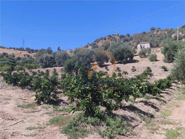 terreno in vendita a Corigliano-Rossano