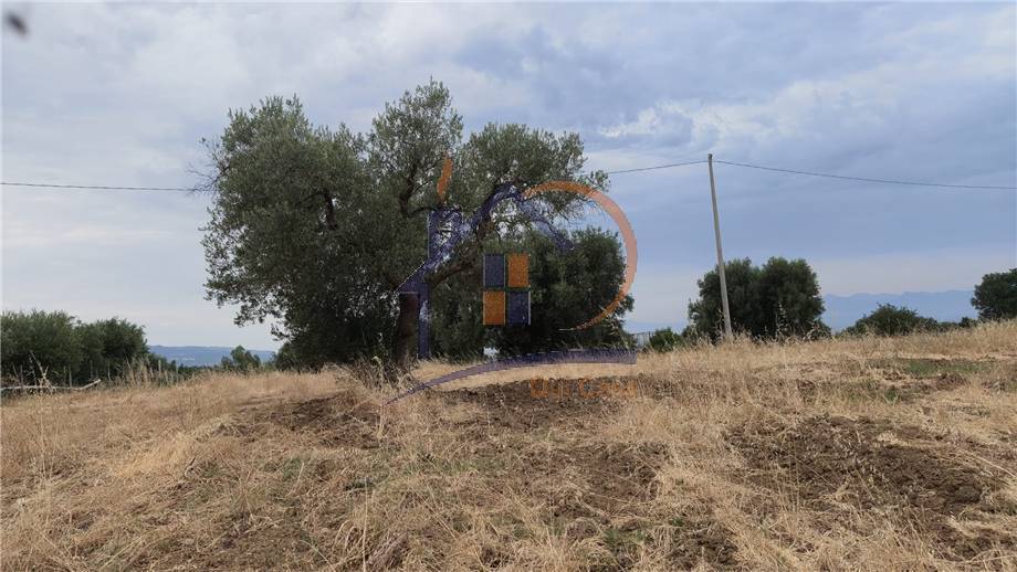 casa indipendente in vendita a Corigliano-Rossano