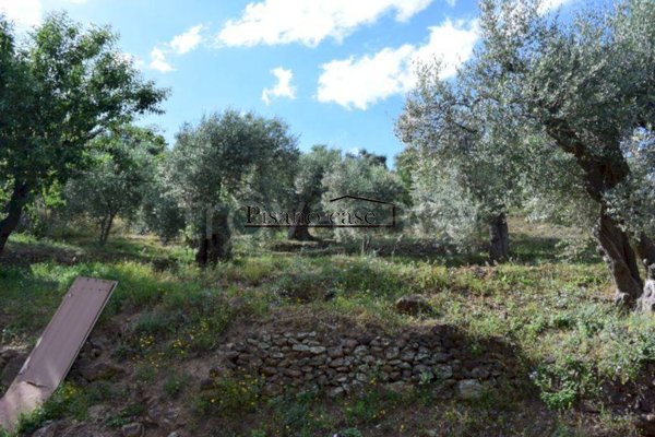 terreno in vendita a Corigliano-Rossano in zona Rossano