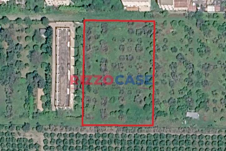 terreno in vendita a Corigliano-Rossano in zona Fabrizio Piccolo