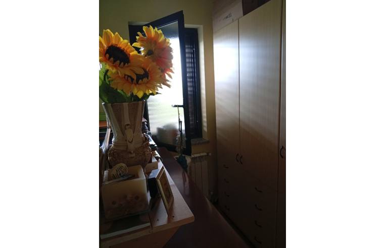 casa indipendente in vendita ad Argusto