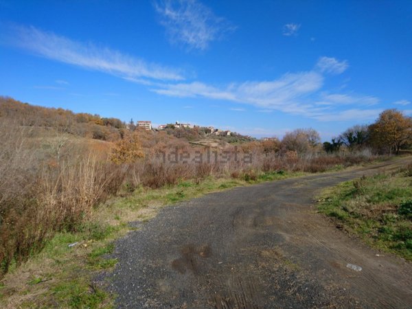 terreno agricolo in vendita ad Argusto