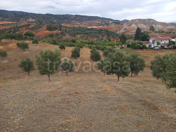 terreno agricolo in vendita a Badolato
