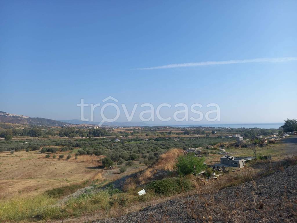 terreno agricolo in vendita a Badolato