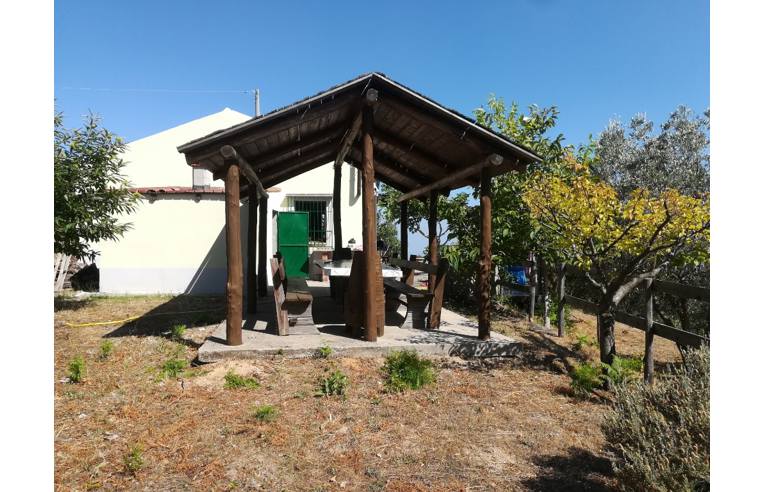 casa indipendente in vendita a Badolato