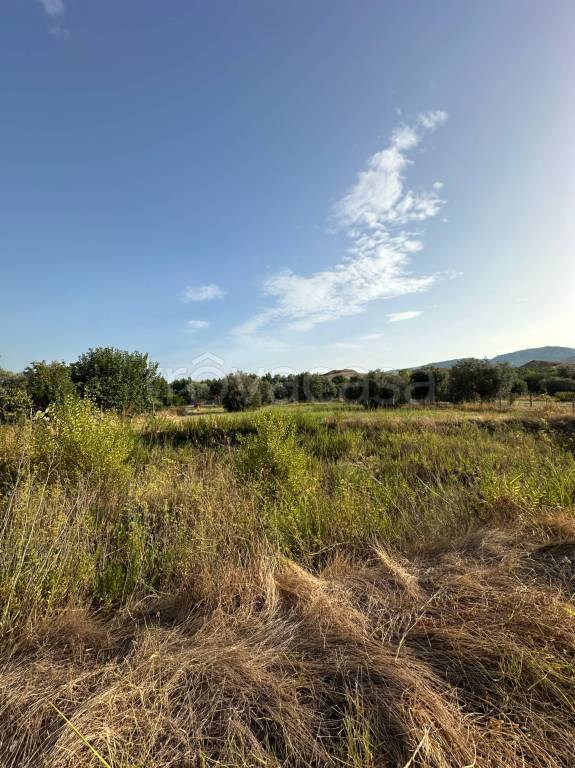 terreno agricolo in vendita a Badolato