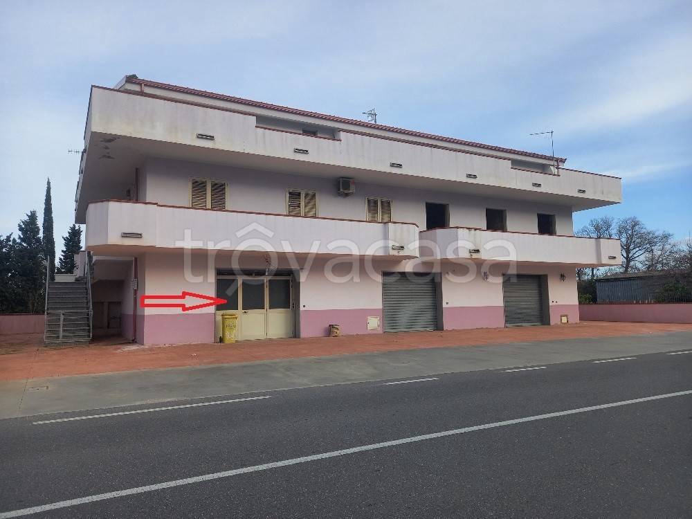 locale commerciale in vendita a Badolato